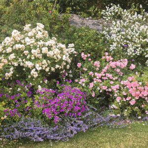 Grey Abbey garden flower border