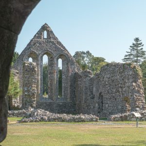 The C12th Grey Abbey ruins
