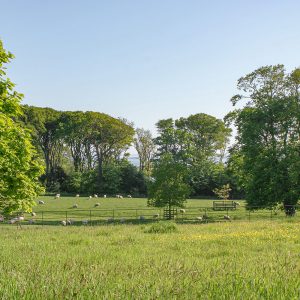 Grey Abbey Estate view