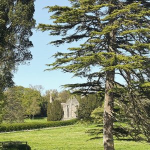Grey Abbey Estate parkland and Abbey