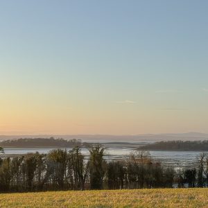 Grey Abbey Estate view over Strangford Lough
